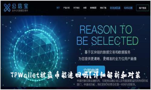 TPWallet被盗币能追回吗？详细解析和对策