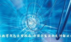 武汉数字钱包使用指南：