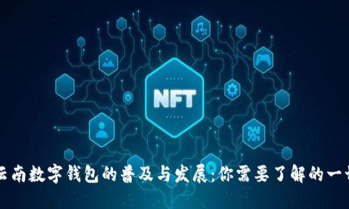 云南数字钱包的普及与发展：你需要了解的一切
