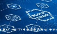 如何在TP Wallet中查看资产