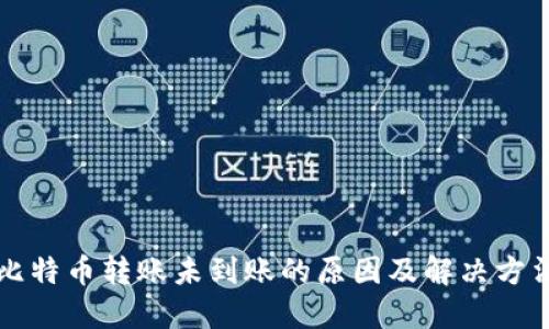 比特币转账未到账的原因及解决方法