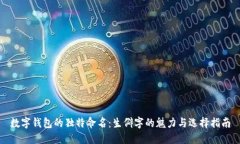 数字钱包的独特命名：生