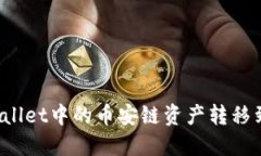  如何将TPWallet中的币安链
