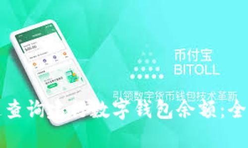 如何快速查询建行数字钱包余额：全方位指导