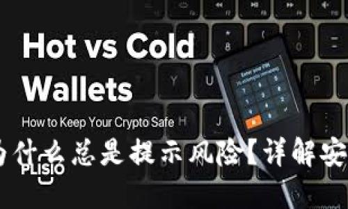 下载TPWallet为什么总是提示风险？详解安全性与解决方案