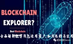 全面解析数字钱包适用商