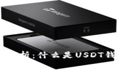 USDT钱包全面解析：什么是