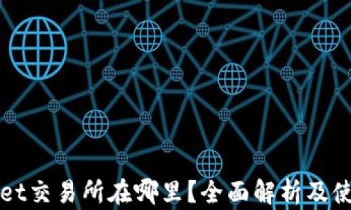 
TPWallet交易所在哪里？全面解析及使用指南