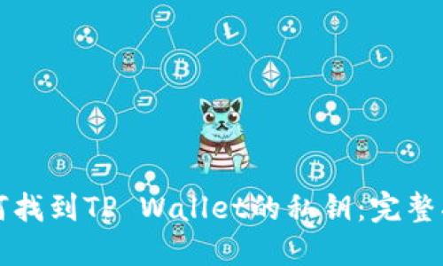 如何找到TP Wallet的私钥：完整指南