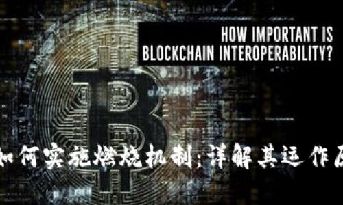 TPWallet如何实施燃烧机制：详解其运作原理与影响
