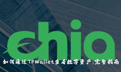 如何通过TPWallet查看数字资产：完整指南