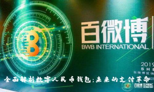 全面解析数字人民币钱包：未来的支付革命