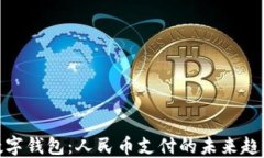 数字钱包：人民币支付的