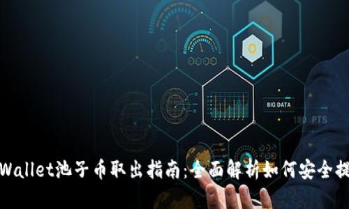 TPWallet池子币取出指南：全面解析如何安全提现