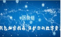 手机钱包加密指南：保护