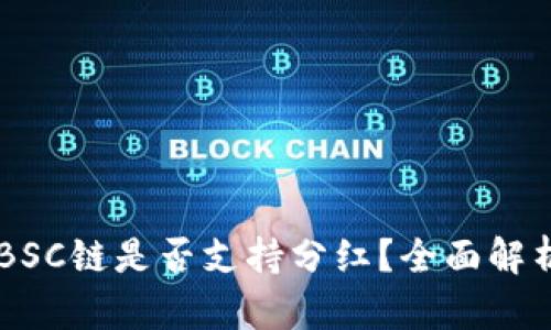 TPWallet的BSC链是否支持分红？全面解析与实用指南