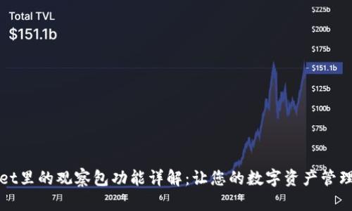 TPWallet里的观察包功能详解：让您的数字资产管理更高效