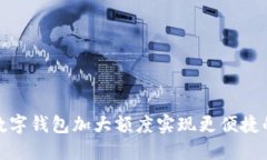 如何通过数字钱包加大额