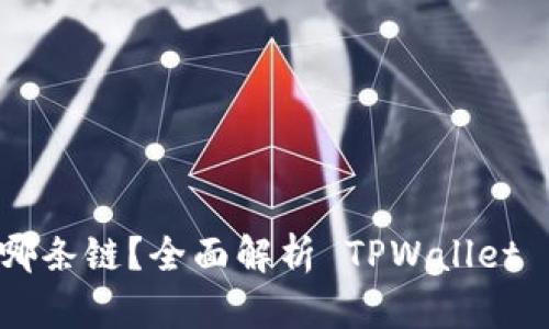 TPWallet 运行在哪条链？全面解析 TPWallet 的链上支持与功能