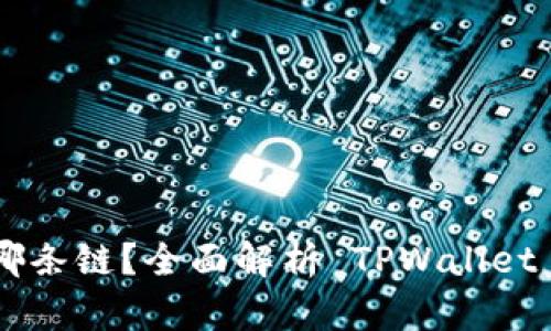 TPWallet 运行在哪条链？全面解析 TPWallet 的链上支持与功能