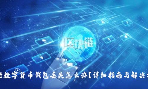 央行数字货币钱包丢失怎么办？详细指南与解决方案