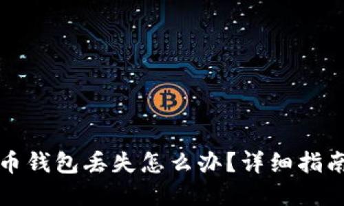 央行数字货币钱包丢失怎么办？详细指南与解决方案