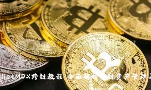 TPWalletMDX跨链教程：全面解析多链资产管理与交易