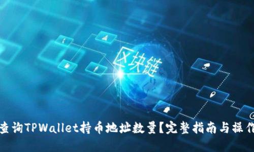 如何查询TPWallet持币地址数量？完整指南与操作步骤