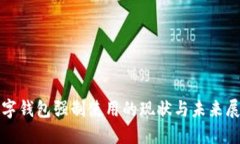 数字钱包强制使用的现状