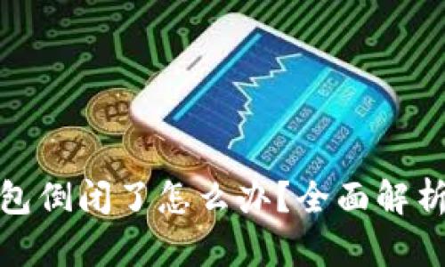 数字货币钱包倒闭了怎么办？全面解析与应对策略