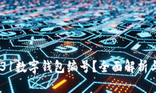 什么是0031数字钱包编号？全面解析与应用场景