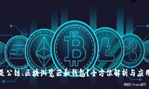 什么是公链、区块浏览器和钱包？全方位解析与应用场景
