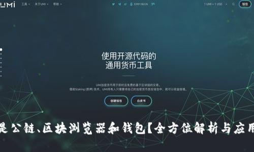 什么是公链、区块浏览器和钱包？全方位解析与应用场景