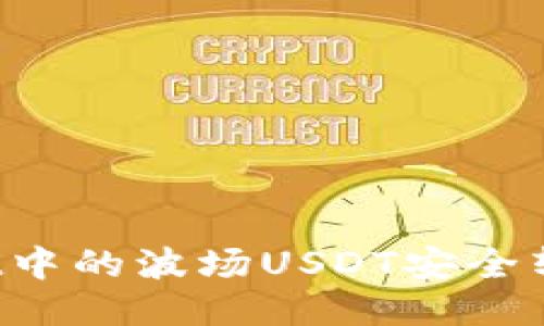 如何将TPWallet中的波场USDT安全转移到其他钱包？