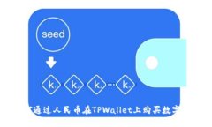 如何通过人民币在TPWalle