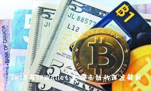 SHIB与TPWallet：走哪条链的深度解析
