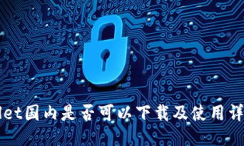 TPWallet国内是否可以下载及使用详细指南