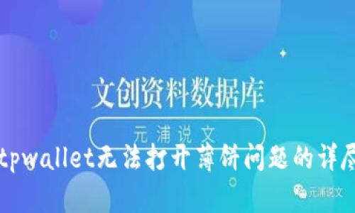 解决tpwallet无法打开薄饼问题的详尽指南
