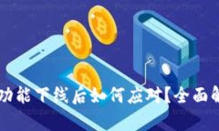 TPWallet闪兑功能下线后如何