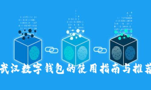 武汉数字钱包的使用指南与推荐