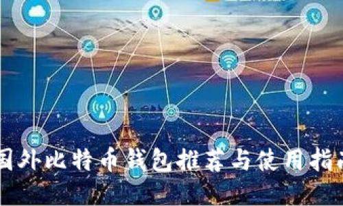 国外比特币钱包推荐与使用指南