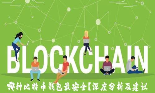 
哪种比特币钱包最安全？深度分析及建议
