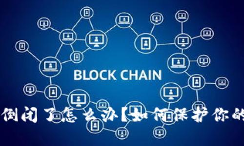 TPWallet倒闭了怎么办？如何保护你的数字资产