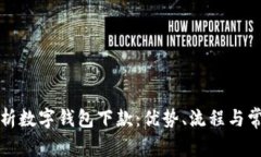 全面解析数字钱包下款：