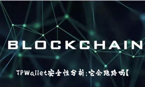 TPWallet安全性分析：它会跑路吗？