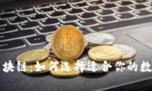理解钱包链与区块链：如何选择适合你的数字资产存储方案