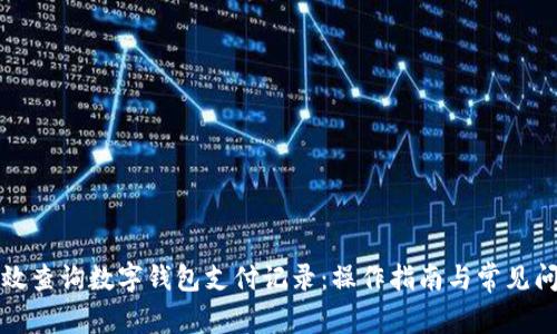 如何高效查询数字钱包支付记录：操作指南与常见问题解析
