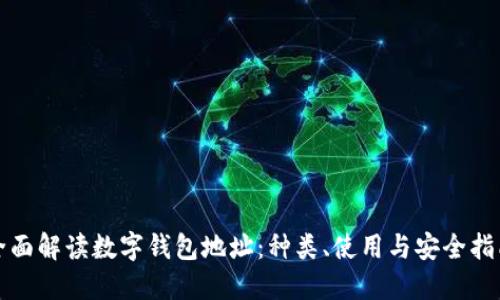 全面解读数字钱包地址：种类、使用与安全指南