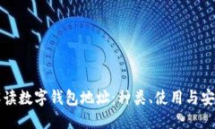 全面解读数字钱包地址：
