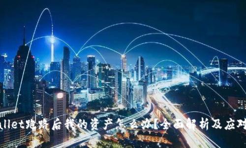 TPWallet跑路后我的资产怎么办？全面解析及应对措施
